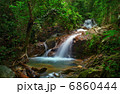 Creek in tropical forest. Beautiful landscape with trees, mossy stones and green plants 6860444