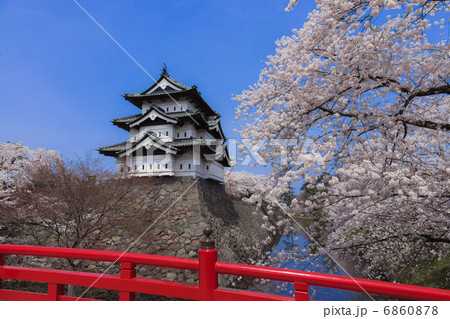 満開の桜と弘前城 6860878