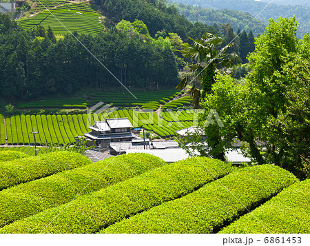 宇治茶の里 6861453