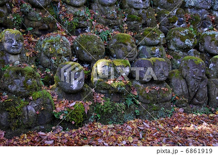 京都嵐山　愛宕念仏寺 6861919