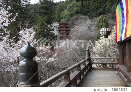 桜咲く長谷寺 桜咲く長谷寺 6862335