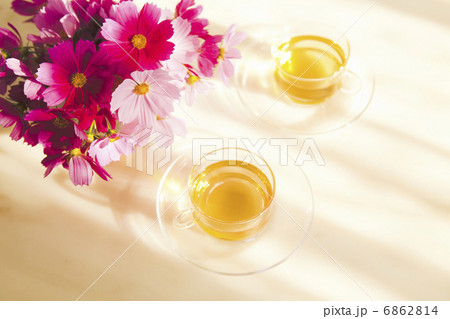 ハーブティーとコスモスの花の写真素材