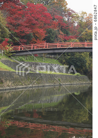 竜田川の紅葉 竜田川の紅葉 6862847