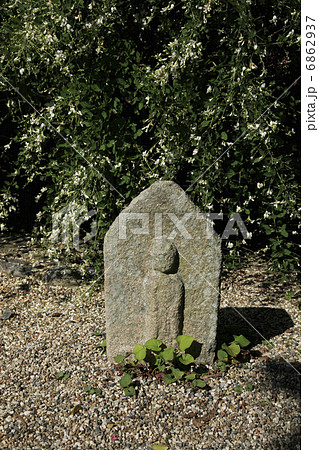 白萩と地蔵 6862937