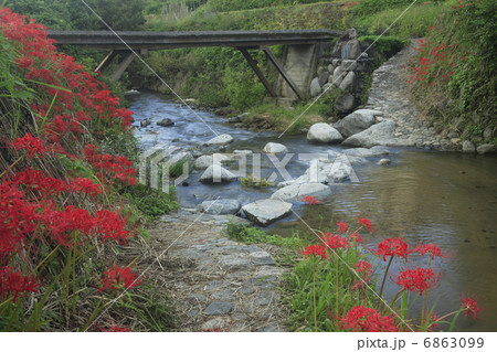 飛鳥川 飛び石 飛鳥川 飛び石 6863099