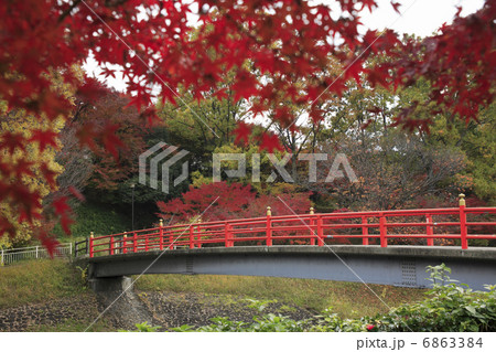 竜田の紅葉橋 6863384