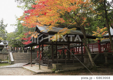 手向山八幡宮 6863668