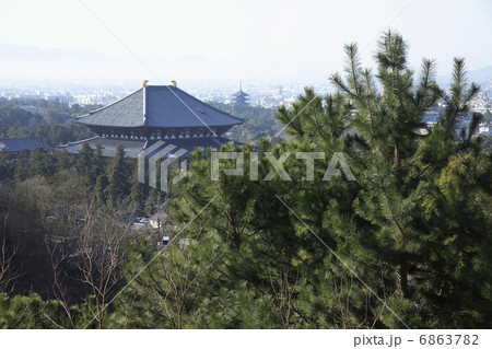 松と東大寺大仏殿 松と東大寺大仏殿 6863782
