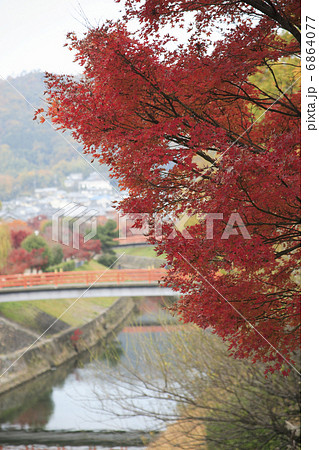 竜田川の紅葉 竜田川の紅葉 6864077