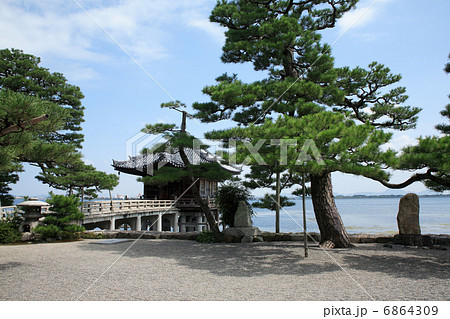 老松と浮御堂 老松と浮御堂 6864309