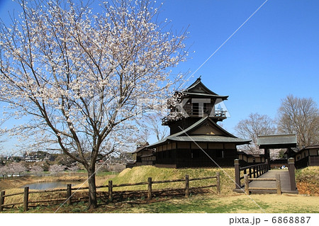 逆井城跡公園 逆井城二層櫓と桜-逆井にて 逆井城跡公園 逆井城二層櫓と桜-逆井にて 6868887