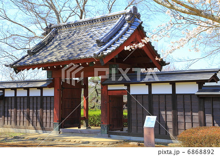逆井城跡公園　関宿城薬医門と桜－逆井にて 6868892
