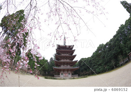 醍醐寺の五重塔 6869152