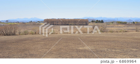 渡良瀬　ヨシ焼きの後 6869964