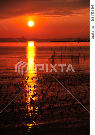 幡豆海岸 6870264