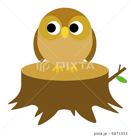 切り株にとまるフクロウ 6871053