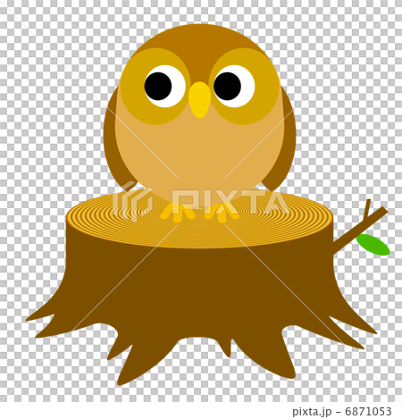 切り株にとまるフクロウ 6871053