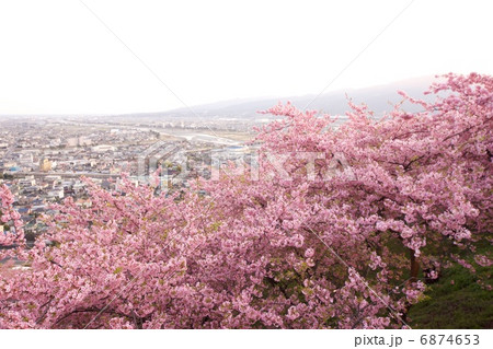 夕暮れと桜 夕暮れと桜 6874653