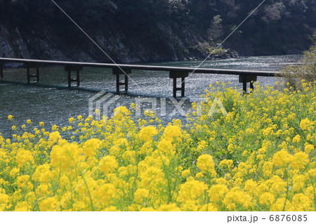 四万十川　岩間の沈下橋 6876085