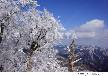 高城山の樹氷と山々(徳島県那賀郡那賀町) 高城山の樹氷と山々(徳島県那賀郡那賀町) 6877030
