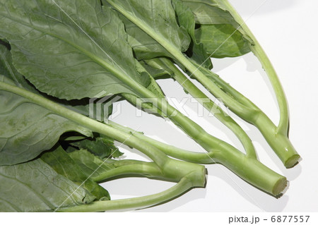 カイラン　タイ食材　タイ王国　 6877557