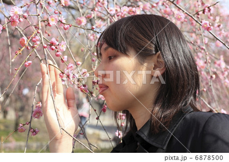 観梅を楽しむ女性 6878500