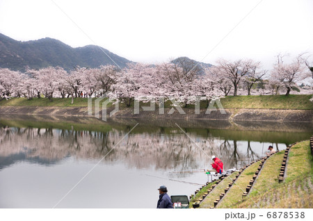立岡自然公園　全国お花見900景 6878538