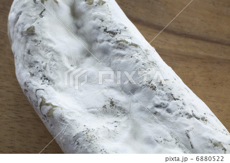 白カビの写真素材