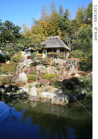 早春の等持院庭園 6881871