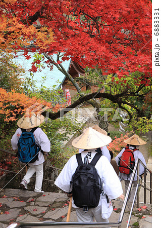秋の四国霊場第82番札所「根香寺」石段を下るお遍路さん 6883331