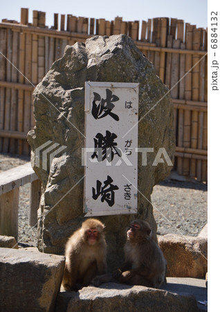 伊豆　波勝崎 6884132