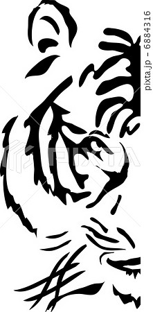 Half muzzle of bengal tiger, vector illustration    6884316