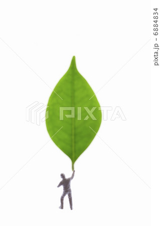 人形と葉 6884834