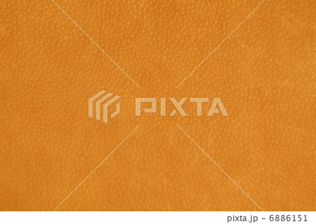 スエード皮革 スエード皮革 6886151