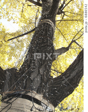 LEDイルミネーション 6886542