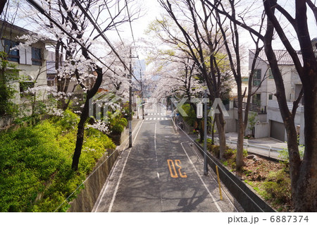 桜坂 6887374