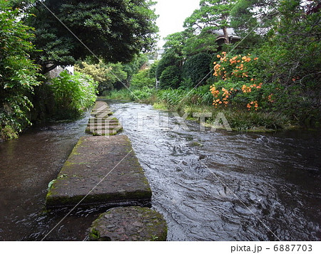 初夏の源兵衛川 初夏の源兵衛川 6887703