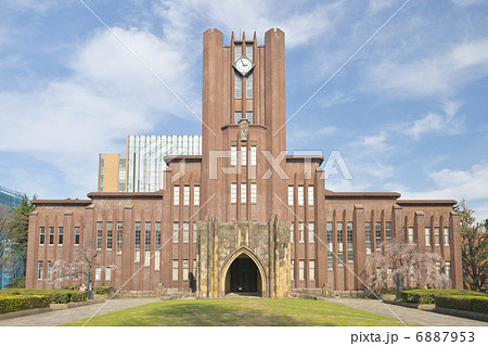 安田講堂と桜 安田講堂と桜 6887953