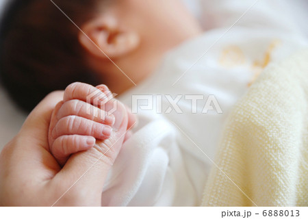赤ちゃんの手 6888013
