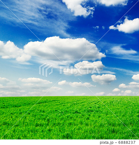 green meadow green meadow 6888237
