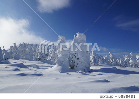 蔵王温泉スキー場　樹氷 6888481
