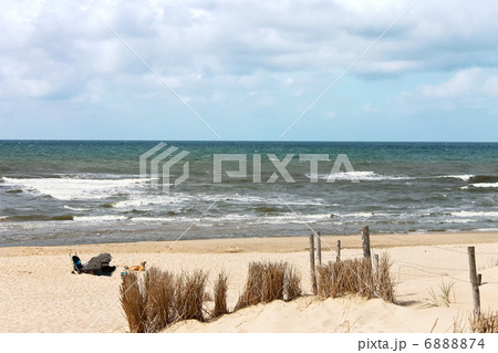 Summer beach in the Netherlands Summer beach in the Netherlands 6888874