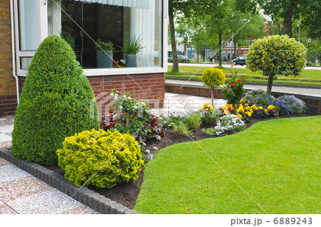 Small garden in front of the Dutch house. Netherlands 6889243