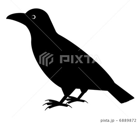 カラス カラス 6889872