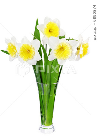 Beautiful spring flowers in vase Beautiful spring flowers in vase 6890874