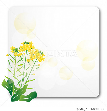 菜の花　背景 6890927