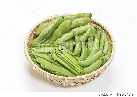 春の豆類 春の豆類 6891475