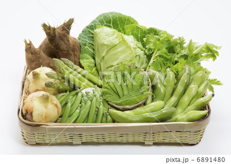 春野菜の集合写真 6891480