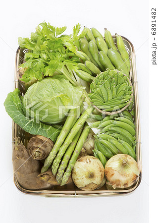 春野菜の集合写真 春野菜の集合写真 6891482