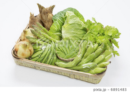 春野菜の集合写真 春野菜の集合写真 6891483